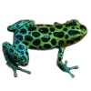 🫥 Эмодзи «Frog» для Telegram
