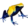 🫥 Эмодзи «Frog» для Telegram