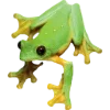 🫥 Эмодзи «Frog» для Telegram