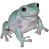 🫥 Эмодзи «Frog» для Telegram