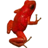 🫥 Эмодзи «Frog» для Telegram