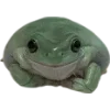 🫥 Эмодзи «Frog» для Telegram