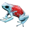 🫥 Эмодзи «Frog» для Telegram