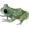 🫥 Эмодзи «Frog» для Telegram