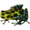 🫥 Эмодзи «Frog» для Telegram
