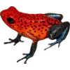 🫥 Эмодзи «Frog» для Telegram