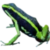 🫥 Эмодзи «Frog» для Telegram