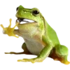🫥 Эмодзи «Frog» для Telegram