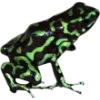 🫥 Эмодзи «Frog» для Telegram