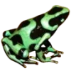 🫥 Эмодзи «Frog» для Telegram