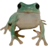 🫥 Эмодзи «Frog» для Telegram
