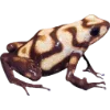 🫥 Эмодзи «Frog» для Telegram