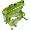🫥 Эмодзи «Frog» для Telegram