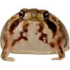 🫥 Эмодзи «Frog» для Telegram