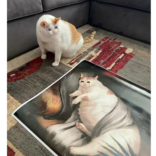 😭 Стикер «Crying Cat Deluxe Evolution» для Telegram
