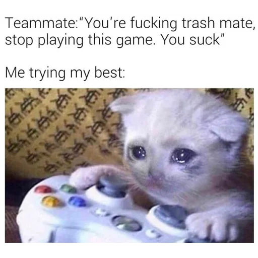 😭 Стикер «Crying Cat Deluxe Evolution» для Telegram