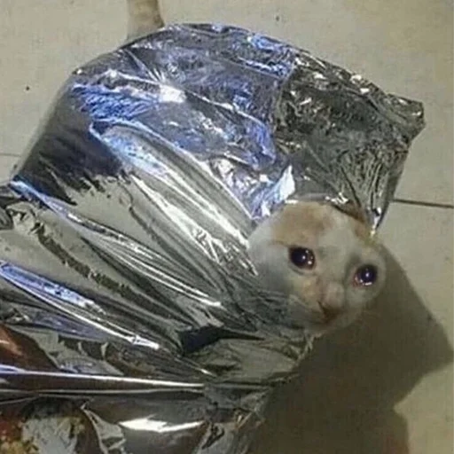 😭 Стикер «Crying Cat Deluxe Evolution» для Telegram