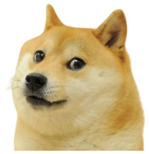 🐶 Стикер «Crypto Pack» для Telegram