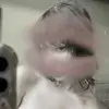 🌟 Эмодзи «Crystalcastles» для Telegram