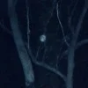 🩷 Эмодзи «Crystal Castles» для Telegram