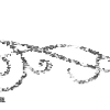 🦴 Эмодзи «𝒞𝓇𝑦𝑠𝑡𝑎𝑙 𝒫𝑎𝓇𝑎𝑑𝒾𝑠𝑒» для Telegram