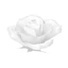 🦴 Эмодзи «𝒞𝓇𝑦𝑠𝑡𝑎𝑙 𝒫𝑎𝓇𝑎𝑑𝒾𝑠𝑒» для Telegram