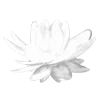 🦴 Эмодзи «𝒞𝓇𝑦𝑠𝑡𝑎𝑙 𝒫𝑎𝓇𝑎𝑑𝒾𝑠𝑒» для Telegram