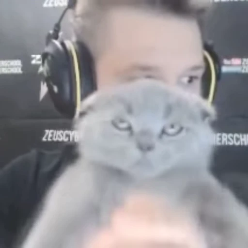 🐈‍⬛ Стикер «csgo emotions» для Telegram