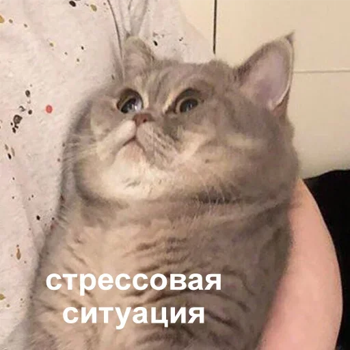 😞 Стикер «Dungeon of cum» для Telegram
