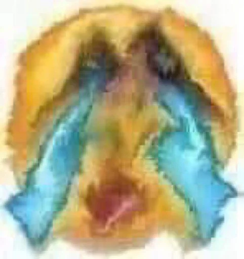 😭 Стикер «[ c u r s e d ]» для Telegram