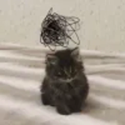 😢 Эмодзи «cursed kittens» для Telegram