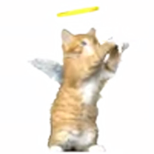 👼 Эмодзи «cursed kittens» для Telegram