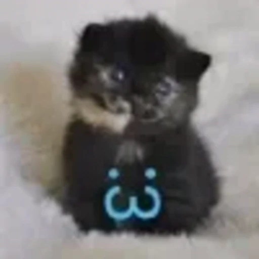 😊 Эмодзи «cursed kittens» для Telegram
