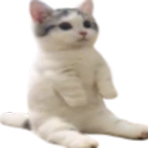 👀 Эмодзи «cursed kittens» для Telegram