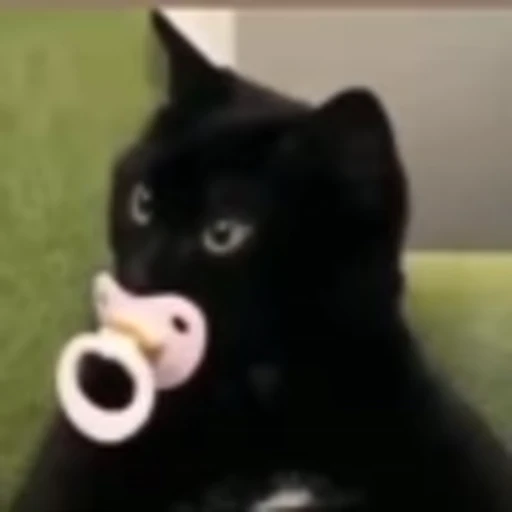 🍼 Эмодзи «cursed kittens» для Telegram