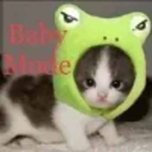 🐱 Эмодзи «cursed kittens» для Telegram