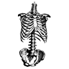 ☠️ Эмодзи «cursemoji» для Telegram