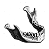☠️ Эмодзи «cursemoji» для Telegram