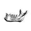 ☠️ Эмодзи «cursemoji» для Telegram