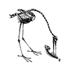☠️ Эмодзи «cursemoji» для Telegram
