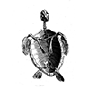 ☠️ Эмодзи «cursemoji» для Telegram