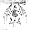 ☠️ Эмодзи «cursemoji» для Telegram