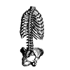 ☠️ Эмодзи «cursemoji» для Telegram