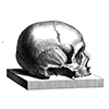 ☠️ Эмодзи «cursemoji» для Telegram
