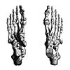 ☠️ Эмодзи «cursemoji» для Telegram