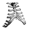 ☠️ Эмодзи «cursemoji» для Telegram