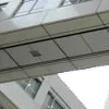 🕸️ Эмодзи «curseweb» для Telegram