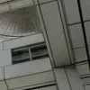 🕸️ Эмодзи «curseweb» для Telegram