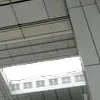 🕸️ Эмодзи «curseweb» для Telegram