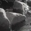 🕸️ Эмодзи «curseweb» для Telegram